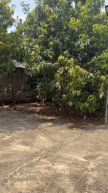 Mua bán Nhà ở Huyện Tân Phú Đồng Nai diện tích 1249 m² giá 6,5 tỷ