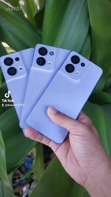 Oppo Reno 8 5G 12/256GB Tím . Mua bán Điện thoại tại Quận Tân Bình Tp Hồ Chí Minh được đăng bởi Nguyễn Bích Ngọc hình 1