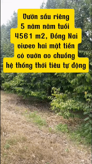 Mua bán Đất Huyện Chơn Thành Bình Phước diện tích 4561 m² giá 2 tỷ