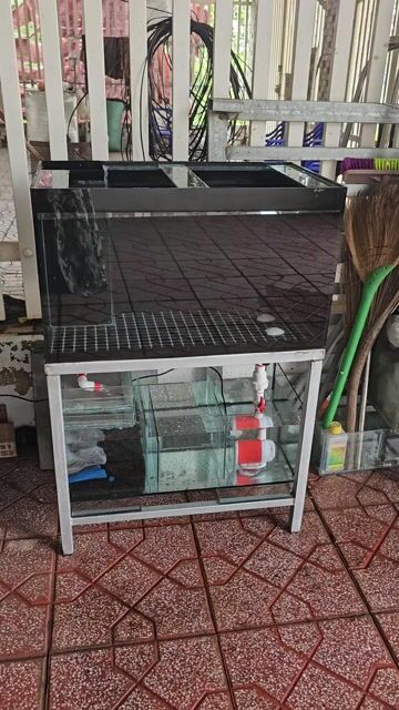 💥Full dàn Hồ 744 hút mặt hút đáy lọc tràn dưới. Mua bán Phụ kiện, Thức ăn, Dịch vụ tại Huyện Hòa Thành Tây Ninh được đăng bởi Sale off  hình 1