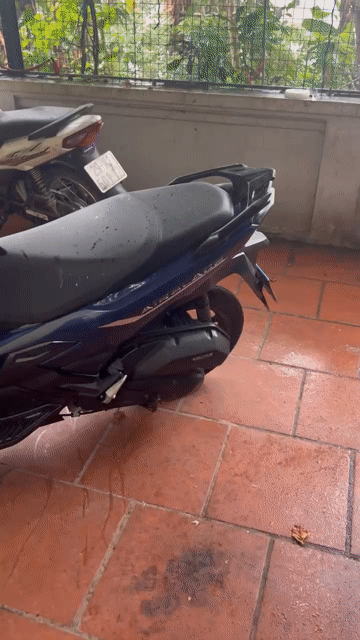 Honda Air Blade 2023 Xanh. Mua bán Xe máy tại Quận Long Biên Hà Nội được đăng bởi Tên chưa cung cấp hình 1