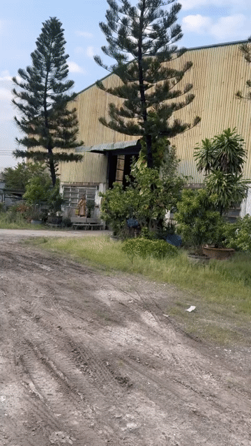 Mua bán Đất Huyện Bình Chánh Tp Hồ Chí Minh diện tích 10000 m² giá 160 tỷ