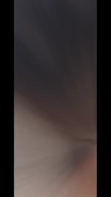 Tìm ba mẹ mới cho các bé fox sóc f1🍀🍀. Mua bán Chó tại Thành phố Dĩ An Bình Dương được đăng bởi Pet shop dĩ an hình 1