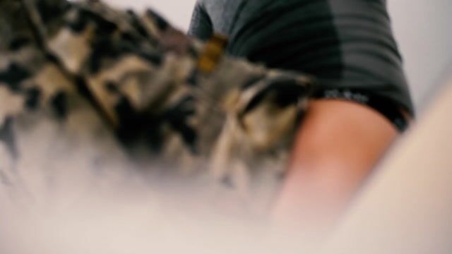 Model - Dexter Scofield dildo