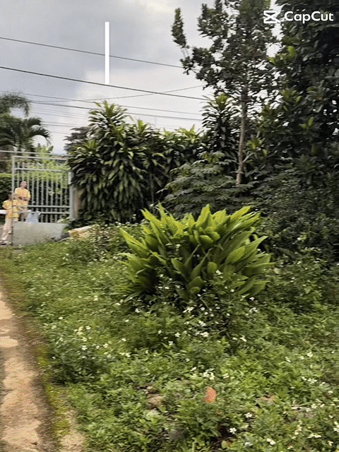 Mua bán Đất Thành phố Bảo Lộc Lâm Đồng diện tích 383 m² giá 3,95 tỷ