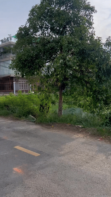 Mua bán Đất Thành phố Thủ Đức Tp Hồ Chí Minh diện tích 54.2 m² giá 5,2 tỷ