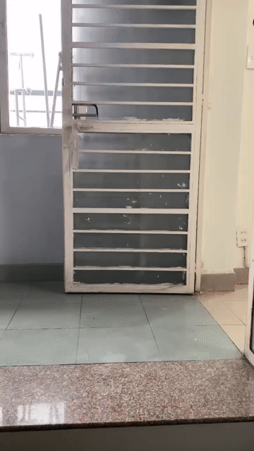 Cho thuê Phòng trọ Quận Tân Bình Tp Hồ Chí Minh diện tích 30 m² giá 4 triệu/tháng