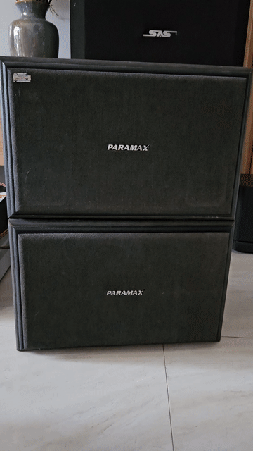 Loa Paramax P-206 chính hãng. Mua bán Tivi, Âm thanh tại Quận Cẩm Lệ Đà Nẵng được đăng bởi Trần Thanh hình 1