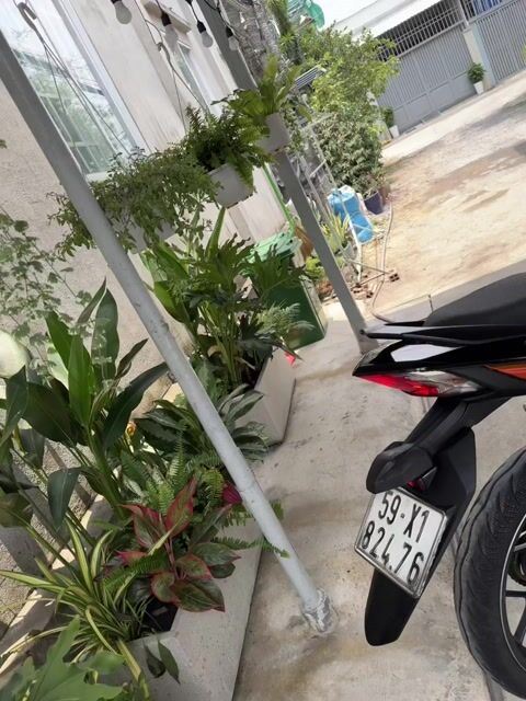 Honda Winner 150 2017 Cam đen. Mua bán Xe máy tại Huyện Hóc Môn Tp Hồ Chí Minh được đăng bởi Khoa kenny hình 1