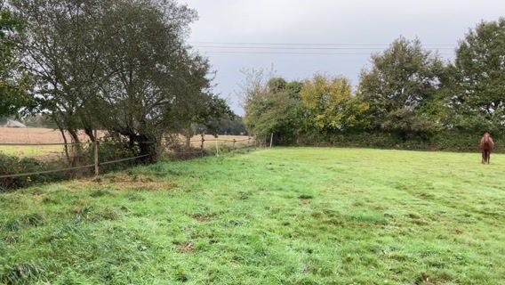 Le métier de dentiste équin