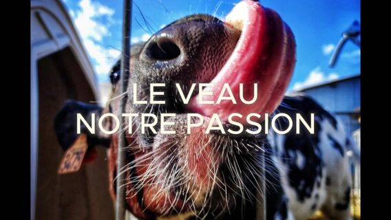 Le veau, notre passion