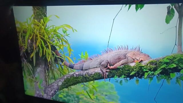 Tivi Panasonic TH-40ES501V 40 inch Việt Nam. Mua bán Tivi, Âm thanh tại Thành phố Thủ Đức Tp Hồ Chí Minh được đăng bởi Nguyễn Thành Khẩn hình 1