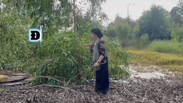 Mua bán Đất Huyện Đức Huệ Long An diện tích 1500 m² giá 10 tỷ