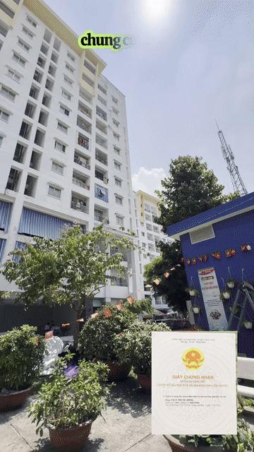 Mua bán Căn hộ Chung cư Chung cư Phú Thọ Quận 11 Tp Hồ Chí Minh diện tích 65 m² giá 3,82 tỷ