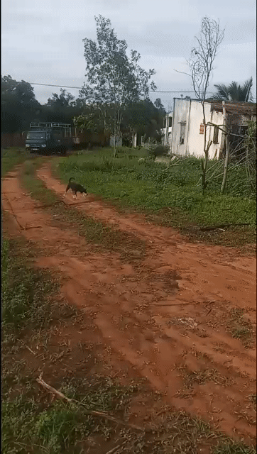 Cho thuê Đất Thành phố Phan Thiết Bình Thuận diện tích 4000 m² giá 5 triệu/tháng
