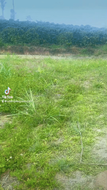 Mua bán Đất Huyện Đam Rông Lâm Đồng diện tích 18000 m² giá 200 triệu