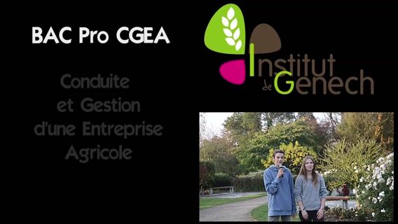 Bac professionnel élevage du cheval