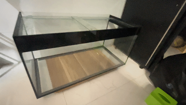 Bể cá kính 80x50x40cm. Mua bán Phụ kiện, Thức ăn, Dịch vụ tại Thành phố Tân An Long An được đăng bởi phát  hình 1