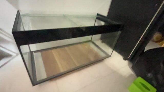 Bể cá kính 80x50x40cm. Mua bán Phụ kiện, Thức ăn, Dịch vụ tại Thành phố Tân An Long An được đăng bởi phát  hình 1