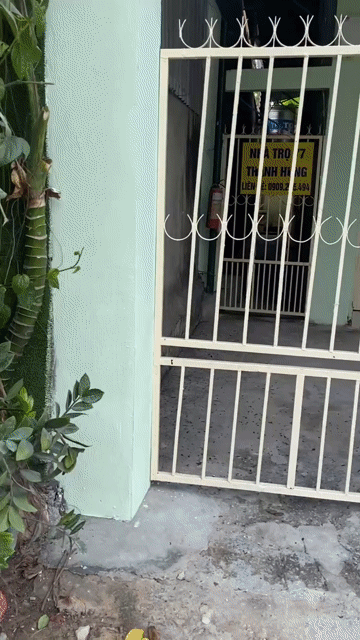 Cho thuê Nhà ở Huyện Củ Chi Tp Hồ Chí Minh diện tích 60 m² giá 3,6 triệu/tháng