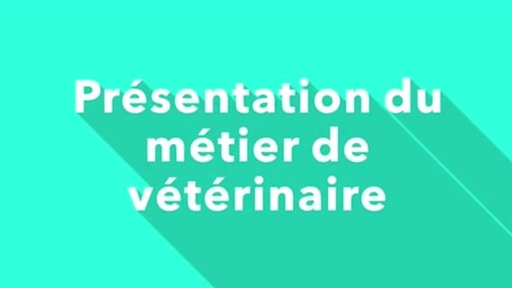 Le métier de vétérinaire animalier