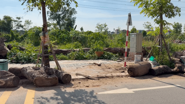 Mua bán Đất Huyện Đông Anh Hà Nội diện tích 80 m² giá 5,6 tỷ