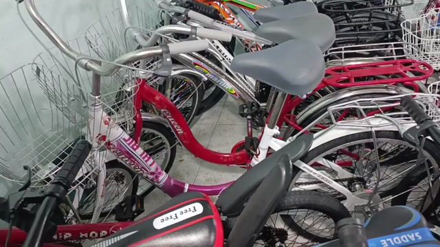 XE ĐẠP DÁNG NỮ BÁNH 24INCH. XE RẤT TỐT, ÊM NHẸ. Mua bán Xe đạp tại Thành phố Biên Hòa Đồng Nai được đăng bởi Minh Anh hình 1