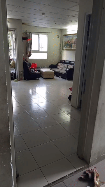 Mua bán Căn hộ Chung cư Nhà ở xã hội Becamex Vietsing Thành phố Thuận An Bình Dương diện tích 51 m² giá 1,19 tỷ