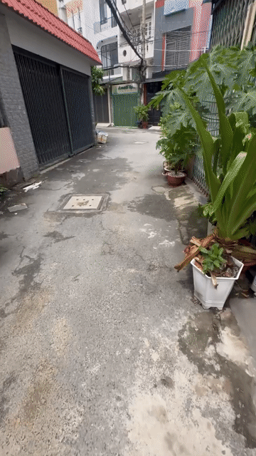 Cho thuê Nhà ở Quận Gò Vấp Tp Hồ Chí Minh diện tích 56 m² giá 10 triệu/tháng