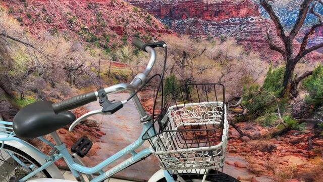 Xe đạp ASAMA 20 inch mới 95%. Mua bán Xe đạp tại Quận Tân Bình Tp Hồ Chí Minh được đăng bởi Bbb hình 1