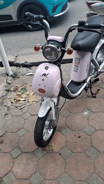 Xe đạp điện Nija Hồng. Mua bán Xe đạp tại Quận Đống Đa Hà Nội được đăng bởi Thiên Hương hình 1