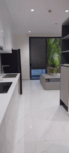 Cho thuê Căn hộ Chung cư D-Aqua Quận 8 Tp Hồ Chí Minh diện tích 32 m² giá 10,5 triệu/tháng