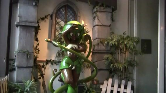 Code source : Développeur