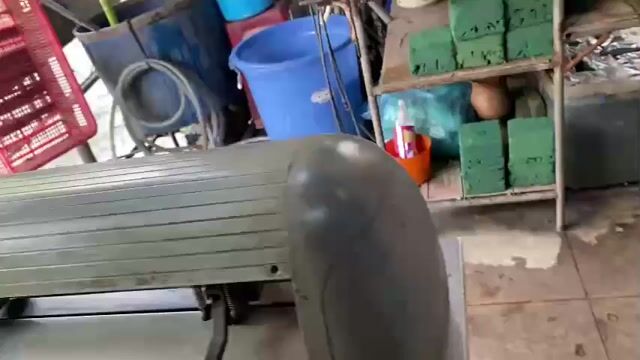 ban Máy cắt decal Bengal Xám cắt decal. Mua bán Đồ chuyên dụng, Giống nuôi trồng tại Quận Phú Nhuận Tp Hồ Chí Minh được đăng bởi Anh Ba hình 1