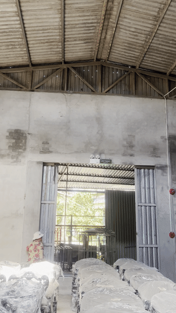 Cho thuê Nhà ở Huyện Bình Chánh Tp Hồ Chí Minh diện tích 500 m² giá 30 triệu/tháng