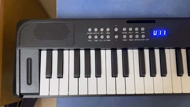 Đàn piano điện Betsy B151 61 phím. Mua bán Nhạc cụ tại Thành phố Thuận An Bình Dương được đăng bởi Trần Ngọc Danh hình 1