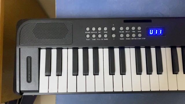 Đàn piano điện Betsy B151 61 phím. Mua bán Nhạc cụ tại Thành phố Thuận An Bình Dương được đăng bởi Trần Ngọc Danh hình 1