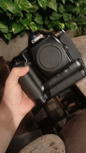 Máy ảnh phim Canon EOS 1N Như mới 98%. Mua bán Máy ảnh, Máy quay tại Quận 3 Tp Hồ Chí Minh được đăng bởi nguyen hình 1