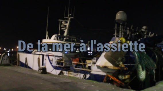 Le poisson de la mer à l'assiette