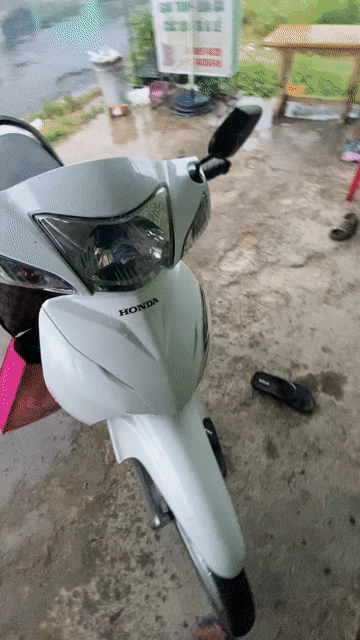 Honda Wave 110 2018 Trắng Đã sử dụng. Mua bán Xe máy tại Huyện Cầu Kè Trà Vinh được đăng bởi Trịnh Đức Nghiêm hình 1