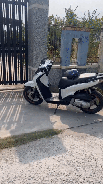 Mua bán Nhà ở Huyện Cần Đước Long An diện tích 389 m² giá 2 tỷ