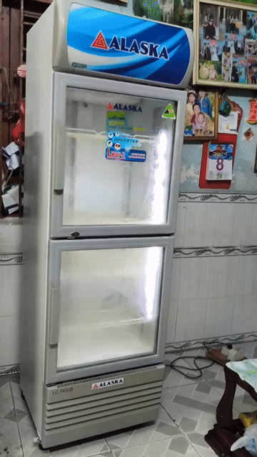 Tủ mát Alaska 450 l, làm lạnh nhanh sạch sẽ tiết k. Mua bán Tủ lạnh tại Quận 12 Tp Hồ Chí Minh được đăng bởi Hà Trung Hiếu   hình 1