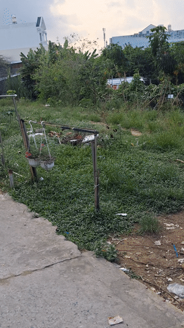 Cho thuê Phòng trọ Thành phố Long Xuyên An Giang diện tích 32 m² giá 900.000 đ/tháng
