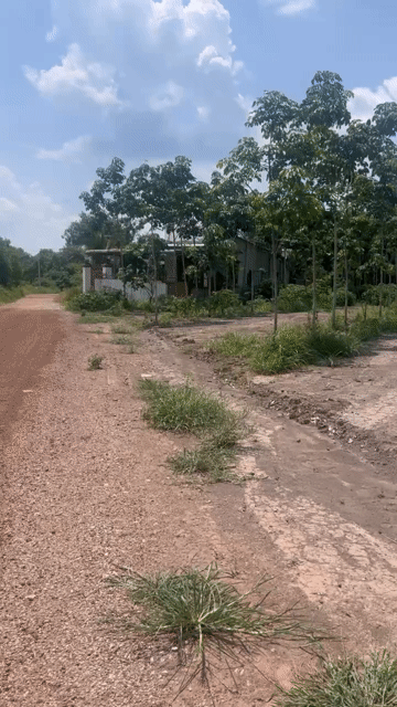 Mua bán Đất Huyện Đồng Phú Bình Phước diện tích 1200 m² giá 325 triệu