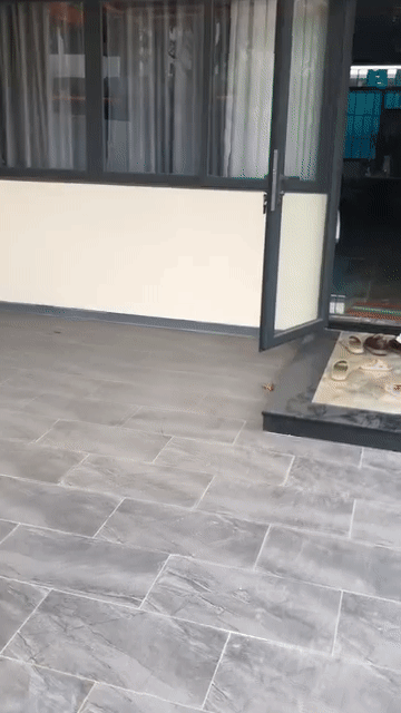 Cho thuê Nhà ở Huyện Cần Giuộc Long An diện tích 116 m² giá 18 triệu/tháng