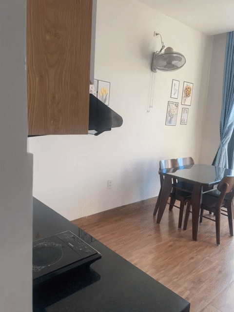 Cho thuê Căn hộ Chung cư Quận Cẩm Lệ Đà Nẵng diện tích 40 m² giá 6 triệu/tháng