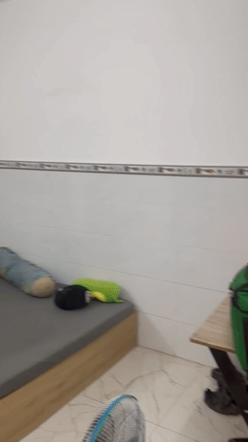 Cho thuê Phòng trọ Quận 7 Tp Hồ Chí Minh diện tích 25 m² giá 4,2 triệu/tháng