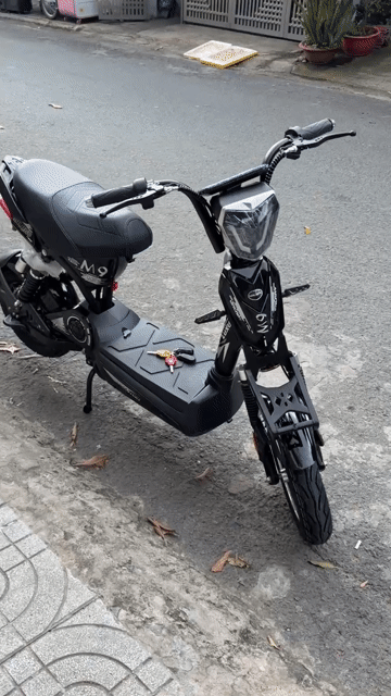 Xe điện 133 mới 100% đã bao gồm bình và sạc mới. Mua bán Xe đạp tại Thành phố Biên Hòa Đồng Nai được đăng bởi XE ĐIỆN THÚY DUYÊN hình 1