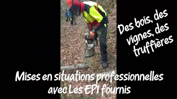 Formation BAC Pro Nature -Jardin -Paysage - Foret