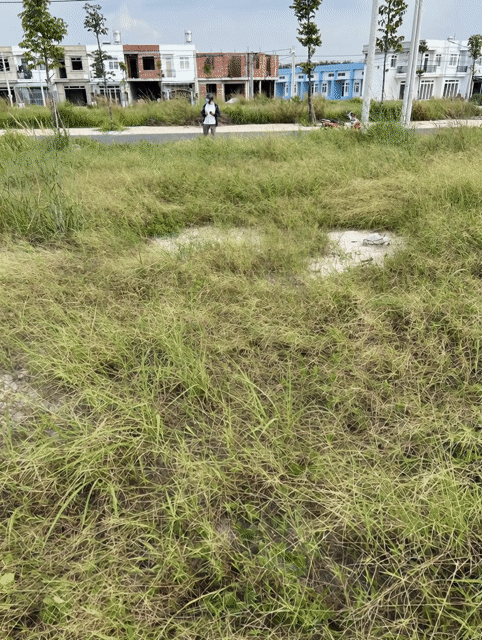 Mua bán Đất Khu đô thị Phúc Hưng Golden Huyện Chơn Thành Bình Phước diện tích 80.0998 m² giá 1,4 tỷ
